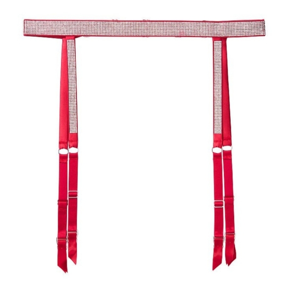 Victoria's Secret Other - Victoria secret Shine Garter size XS/S NWT